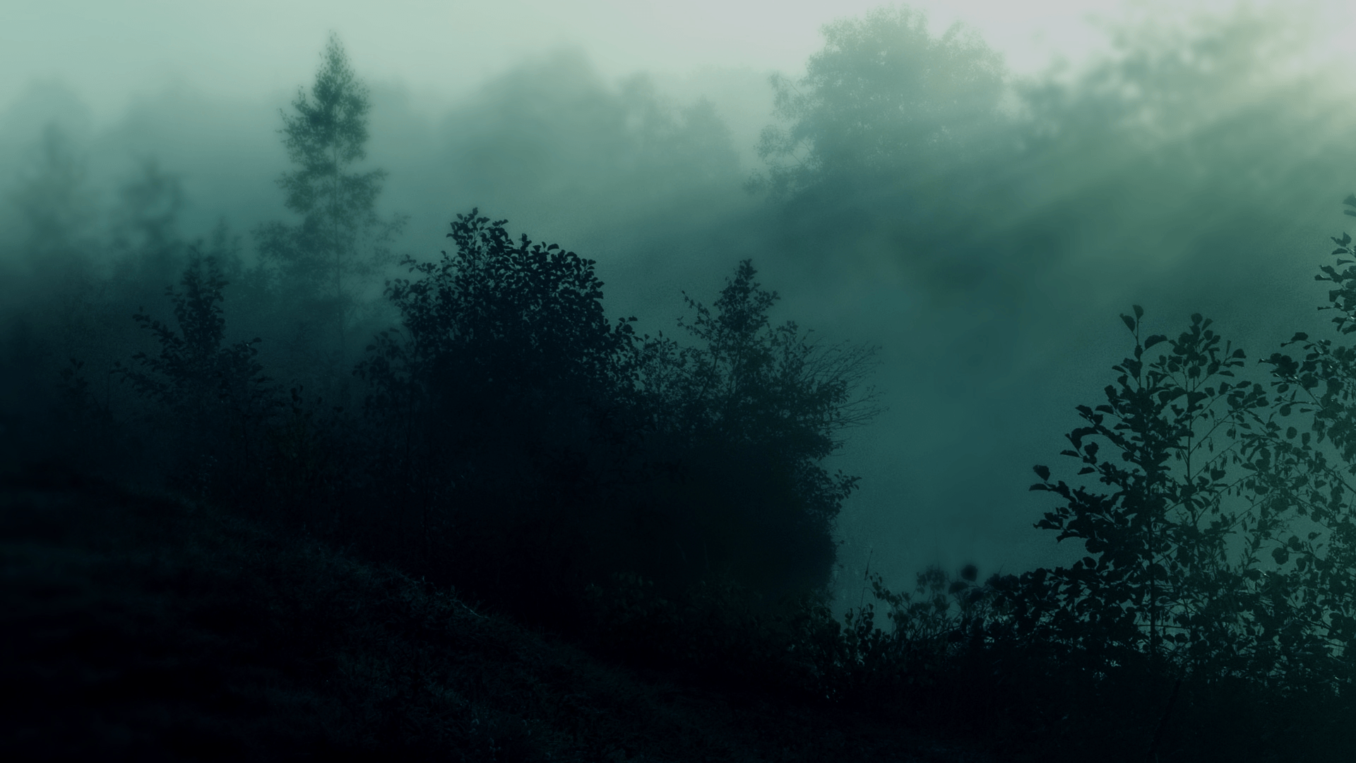 Forest Recolor wallpaper