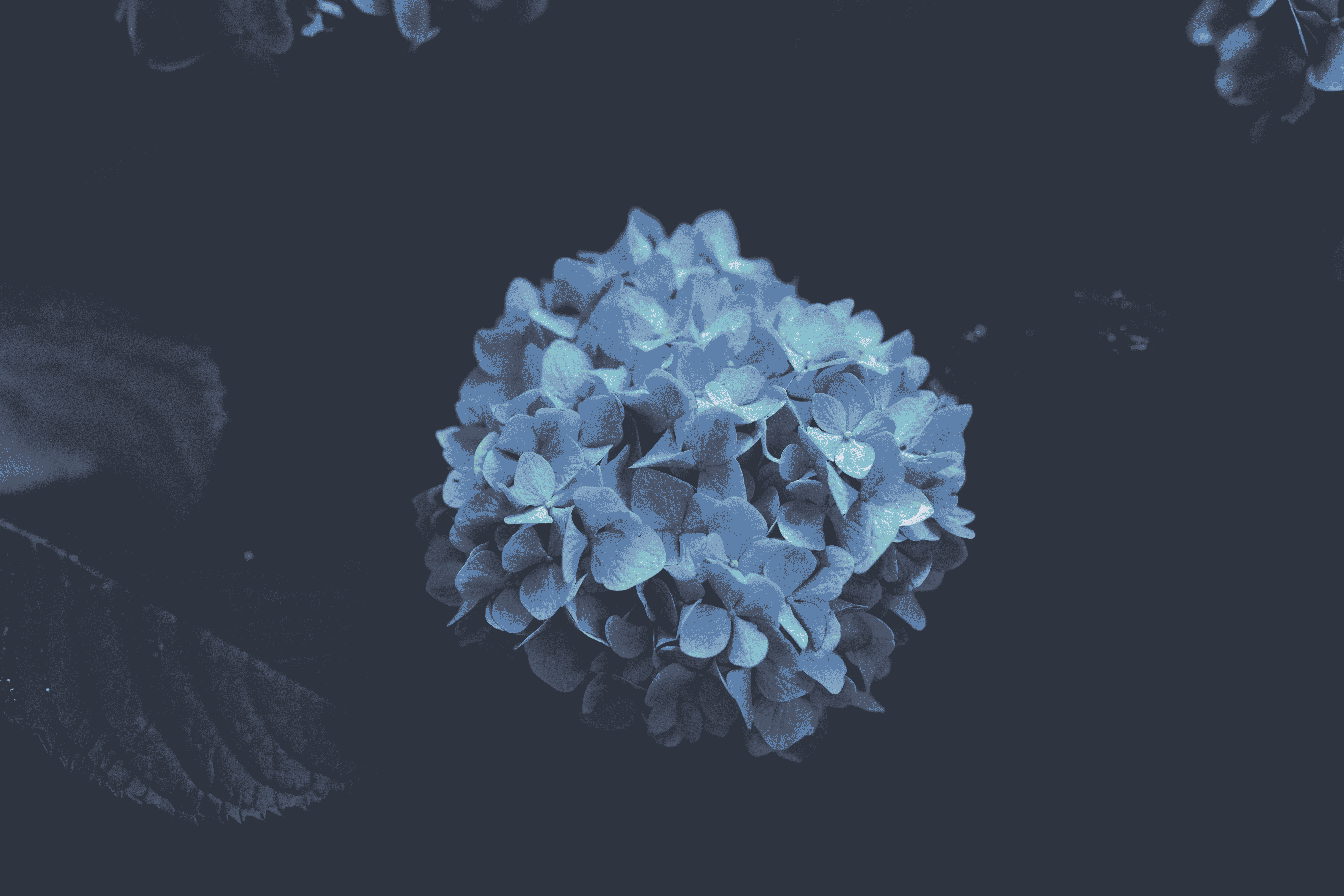 Nord Recolor wallpaper